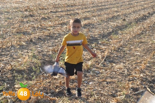 7amam lud monir 908 (64).JPG